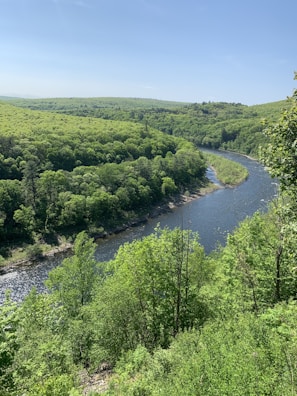 A panoramic view of a lush green forest with a winding river below.
