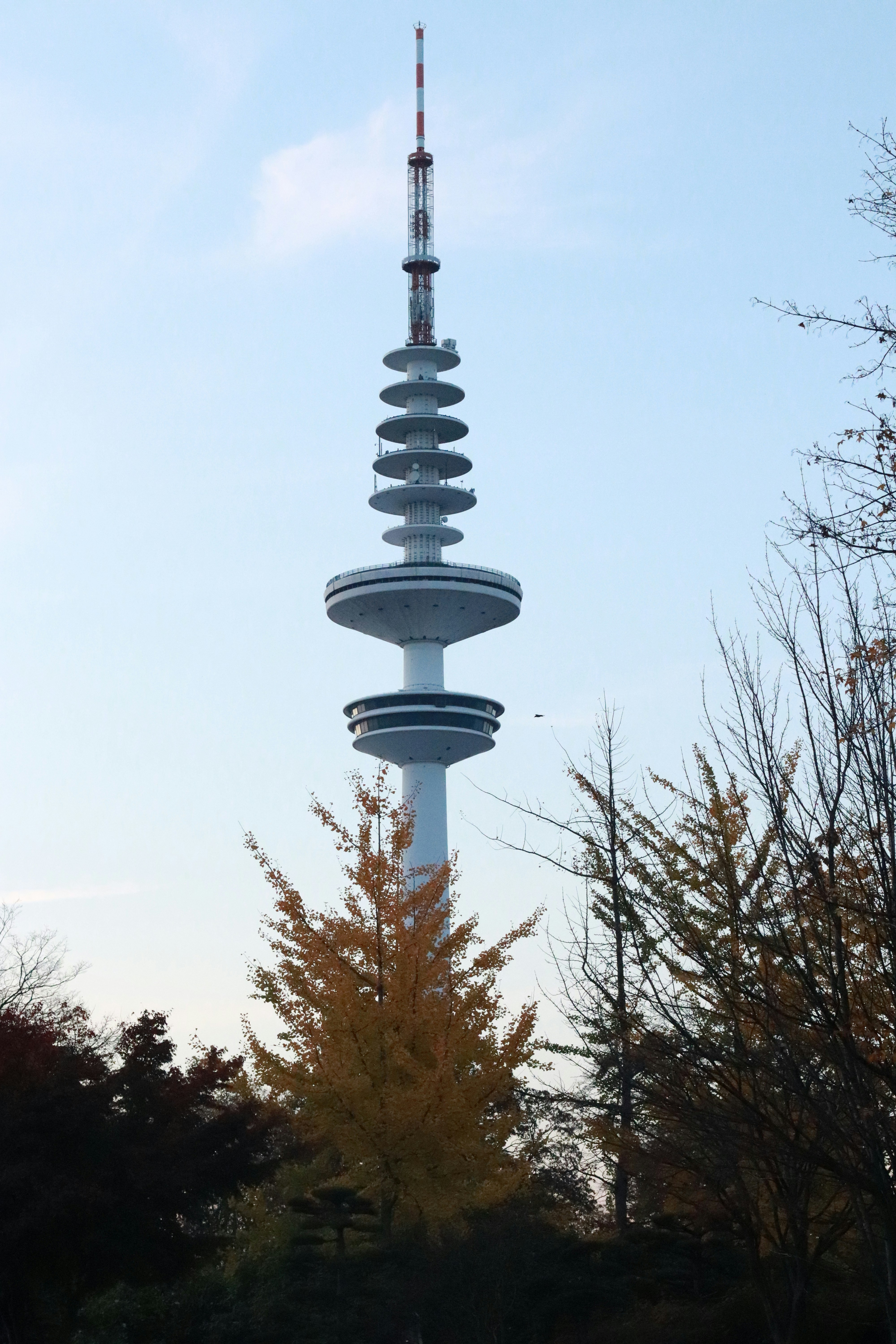 Photo by phuocanhdang