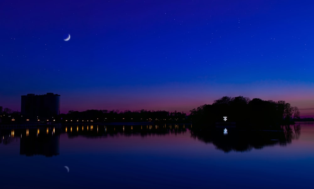 silhouette of trees near body of water during night time