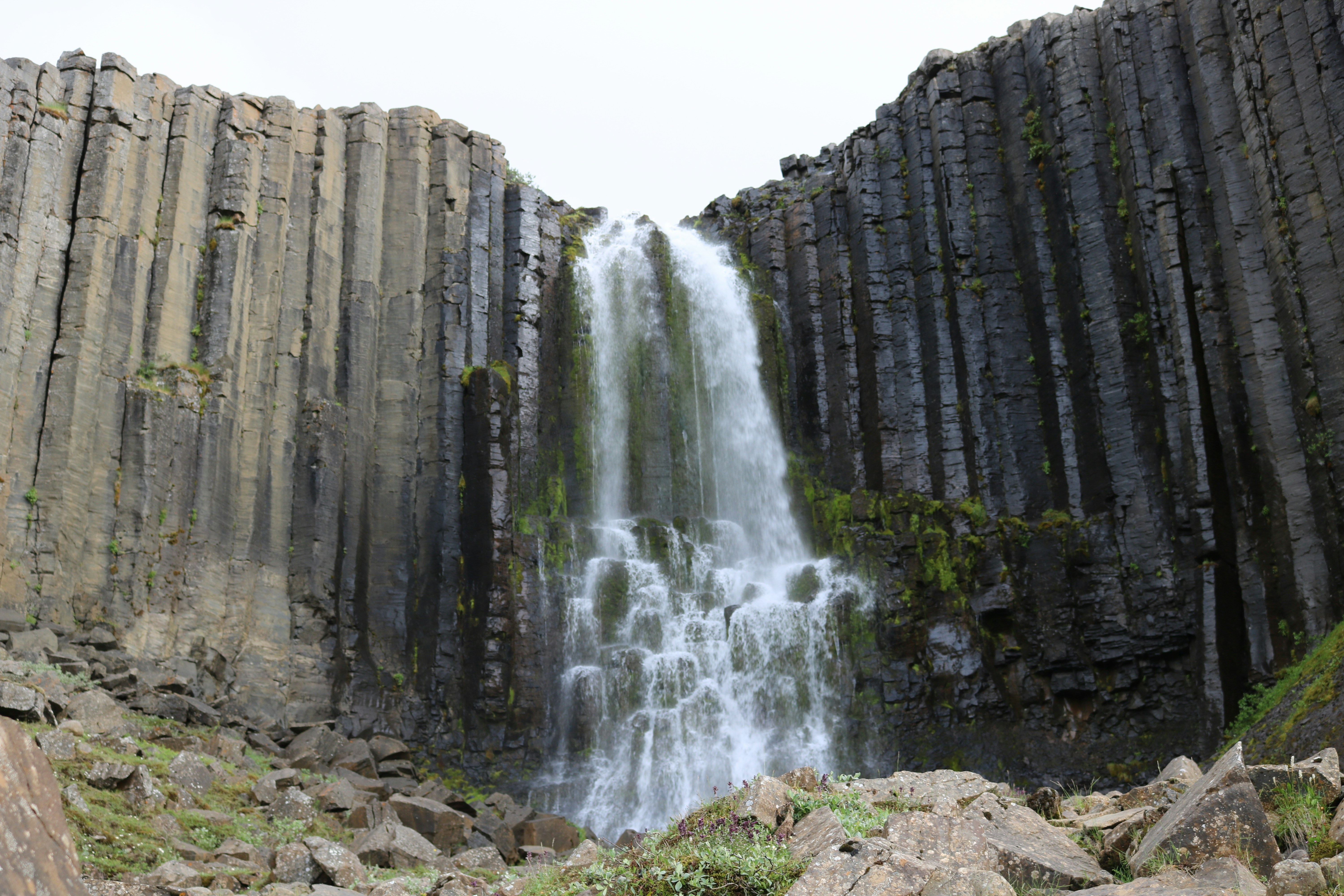 Photo by izabelakraus