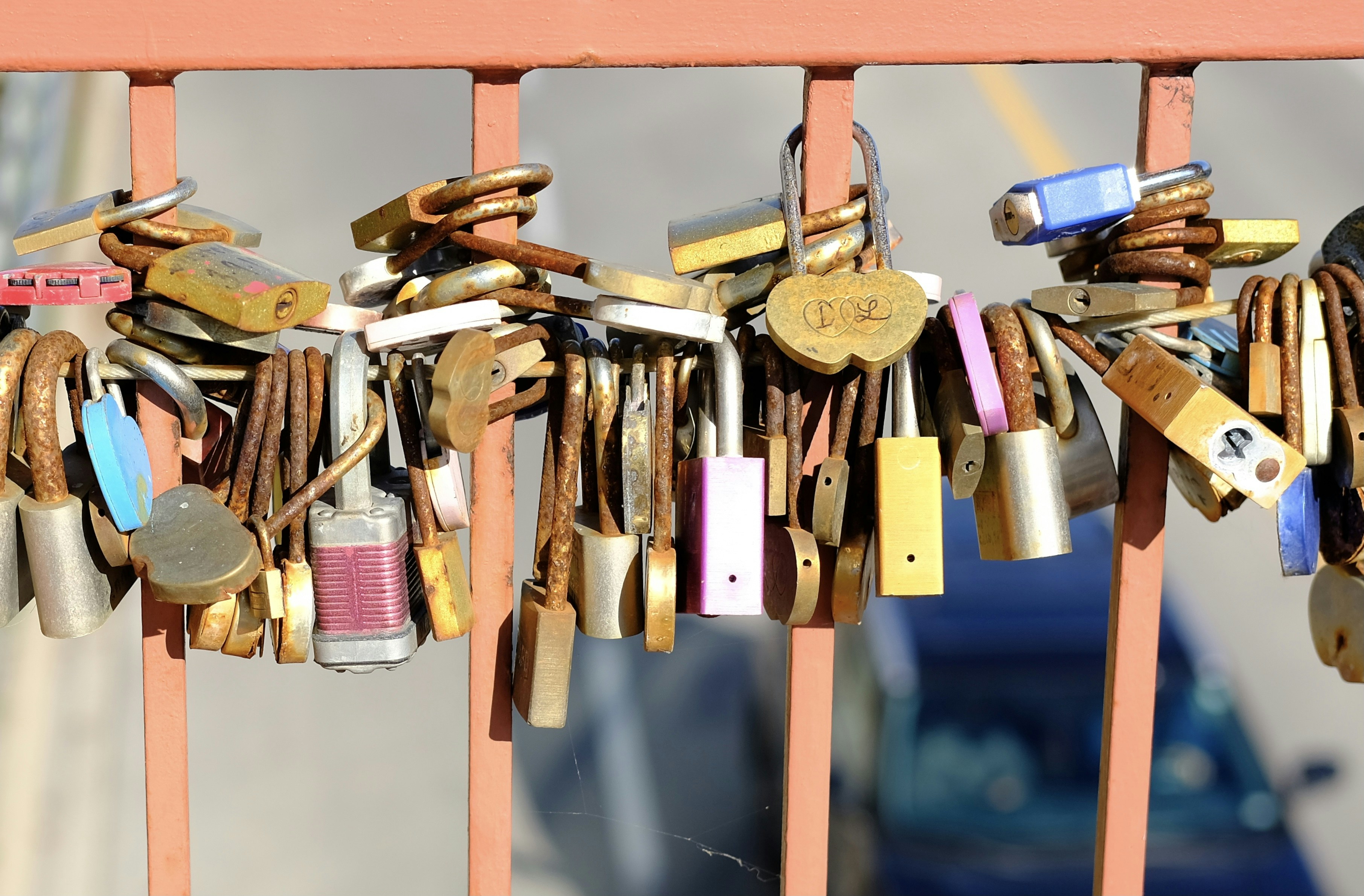 Photo by minkscreations