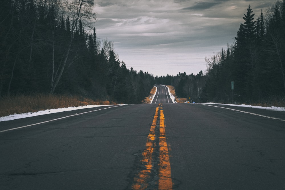 gray asphalt road between trees under gray cloudy sky during daytime