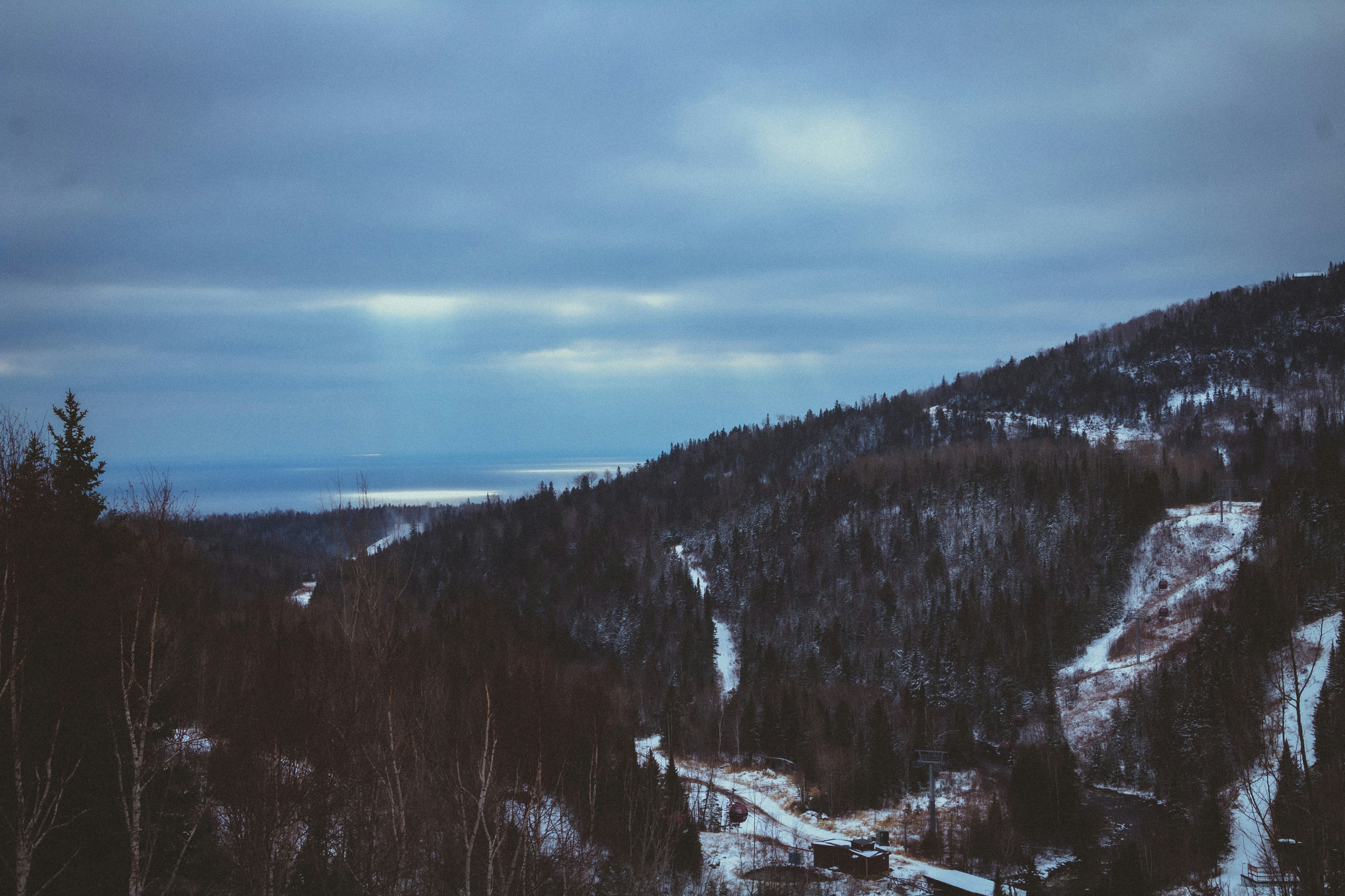 green trees on mountain under blue sky during daytime, 
