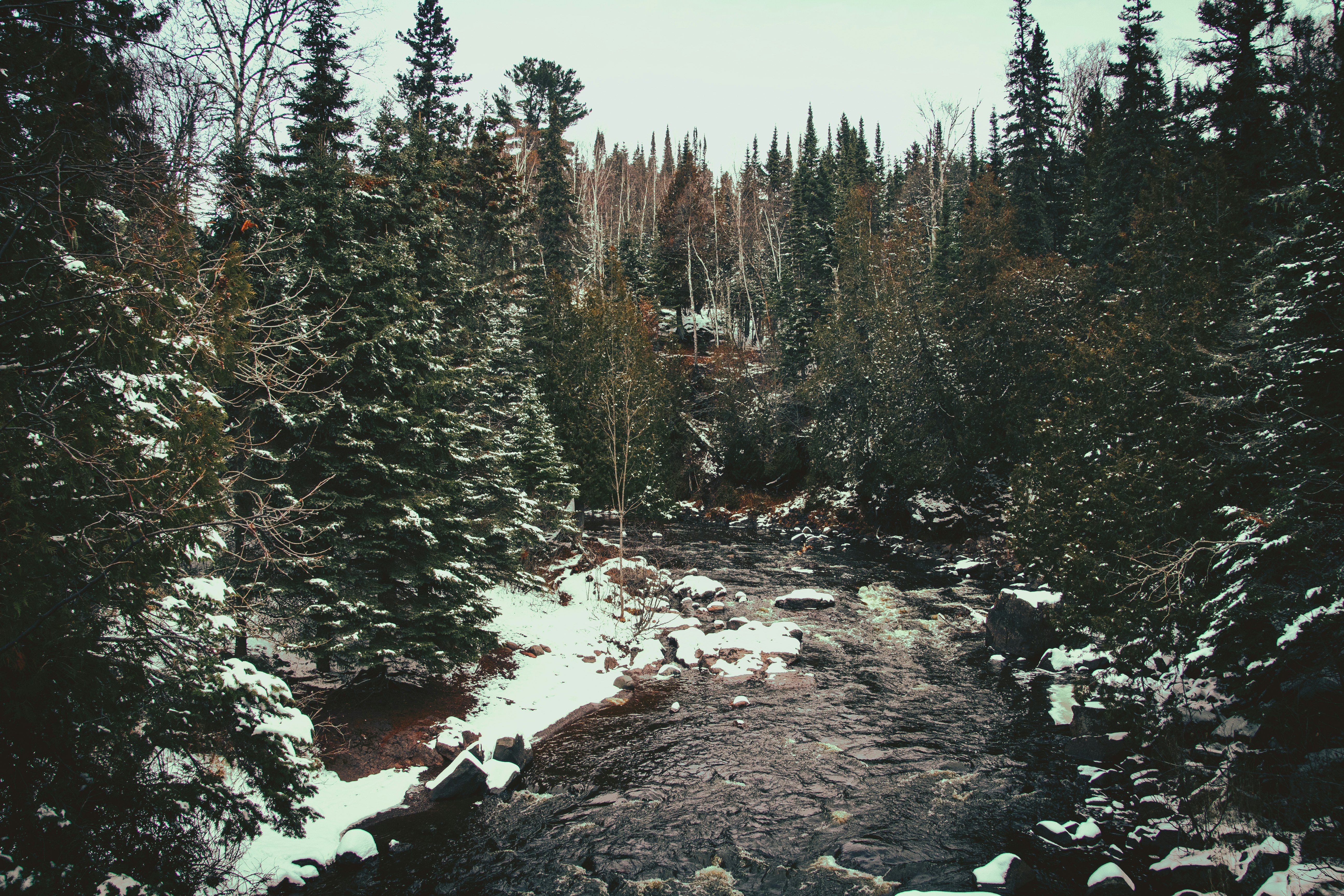 Photo by jdleonardphoto