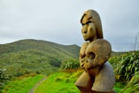 brown wooden human face sculpture on green grass field