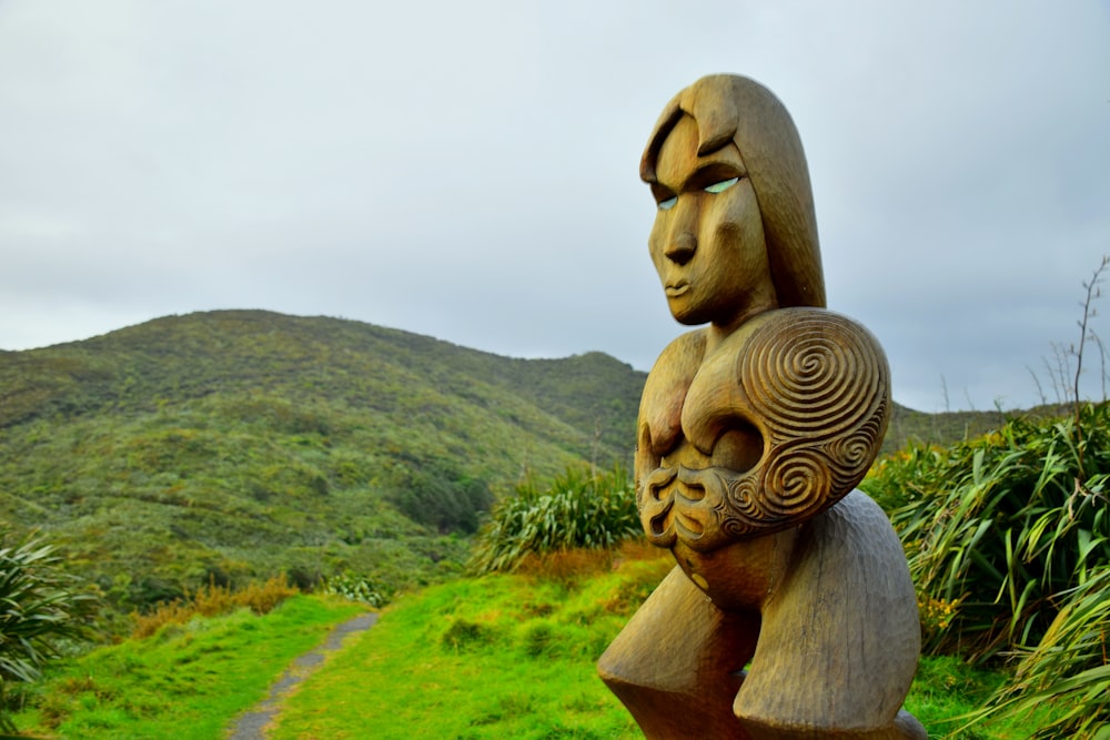 brown wooden human face sculpture on green grass field