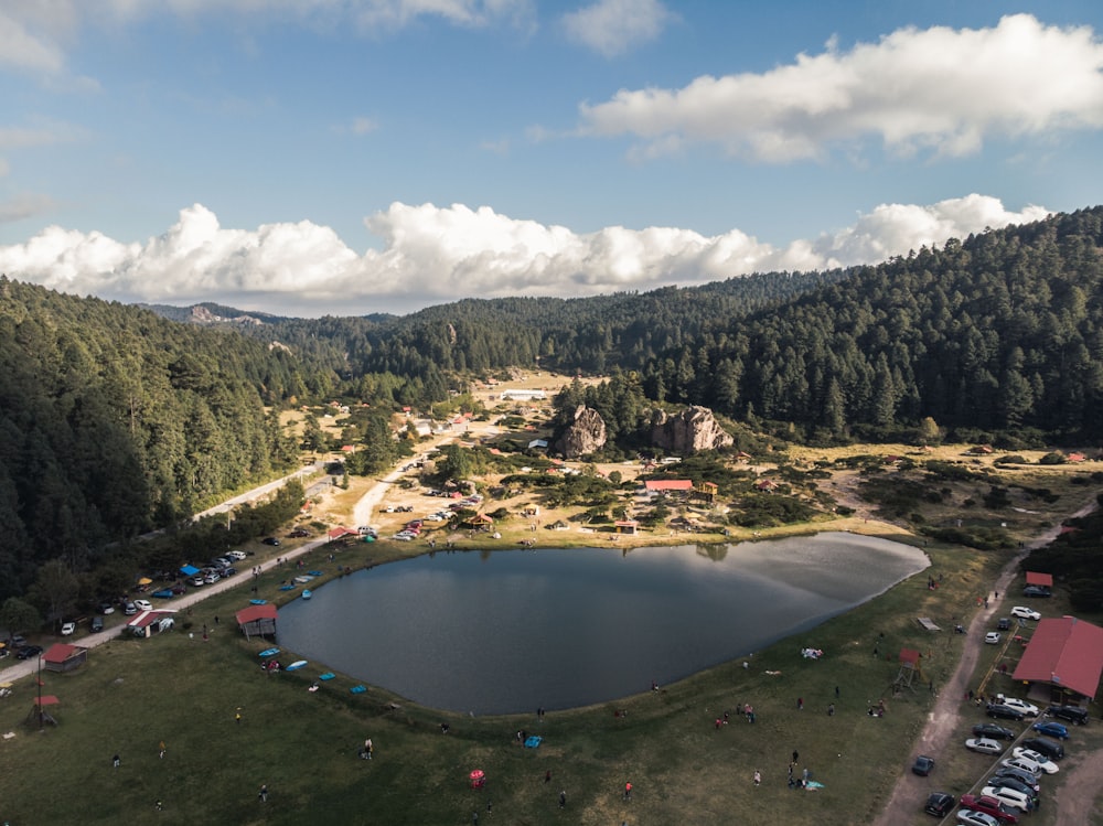 Grüne Bäume in der Nähe des Sees unter blauem Himmel während des Tages