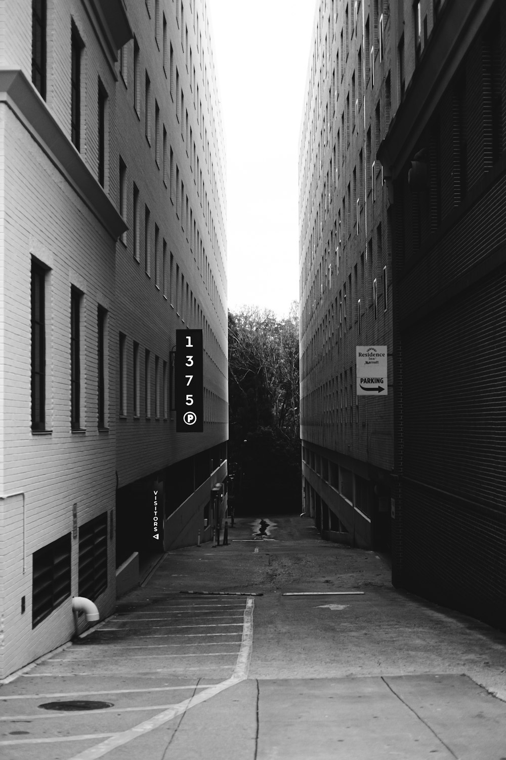 Photo en niveaux de gris d’un chemin entre un bâtiment en béton
