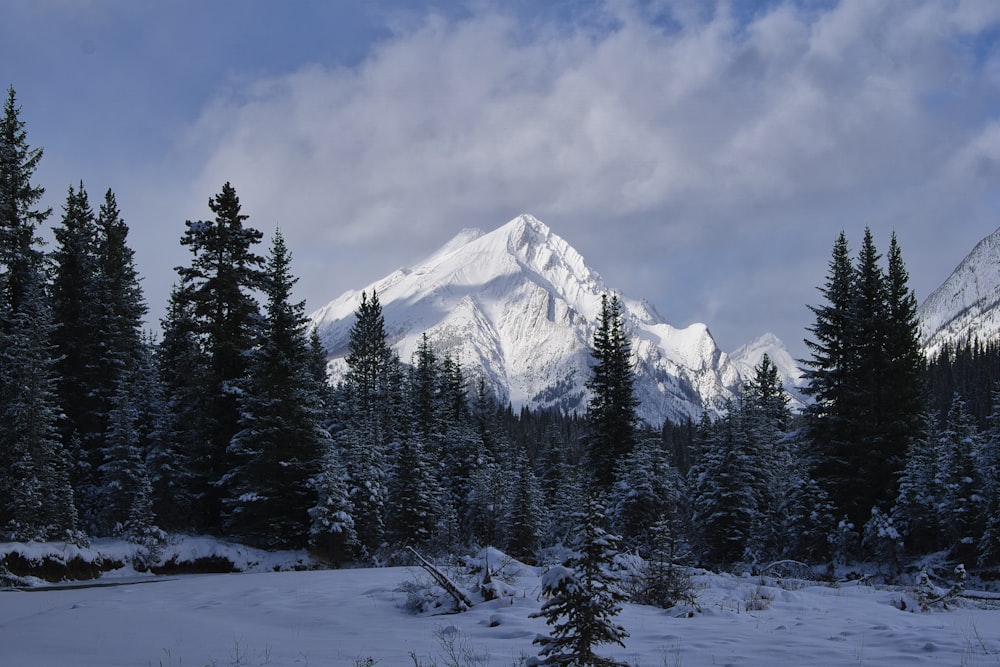 snow covered mountain under cloudy sky during daytime