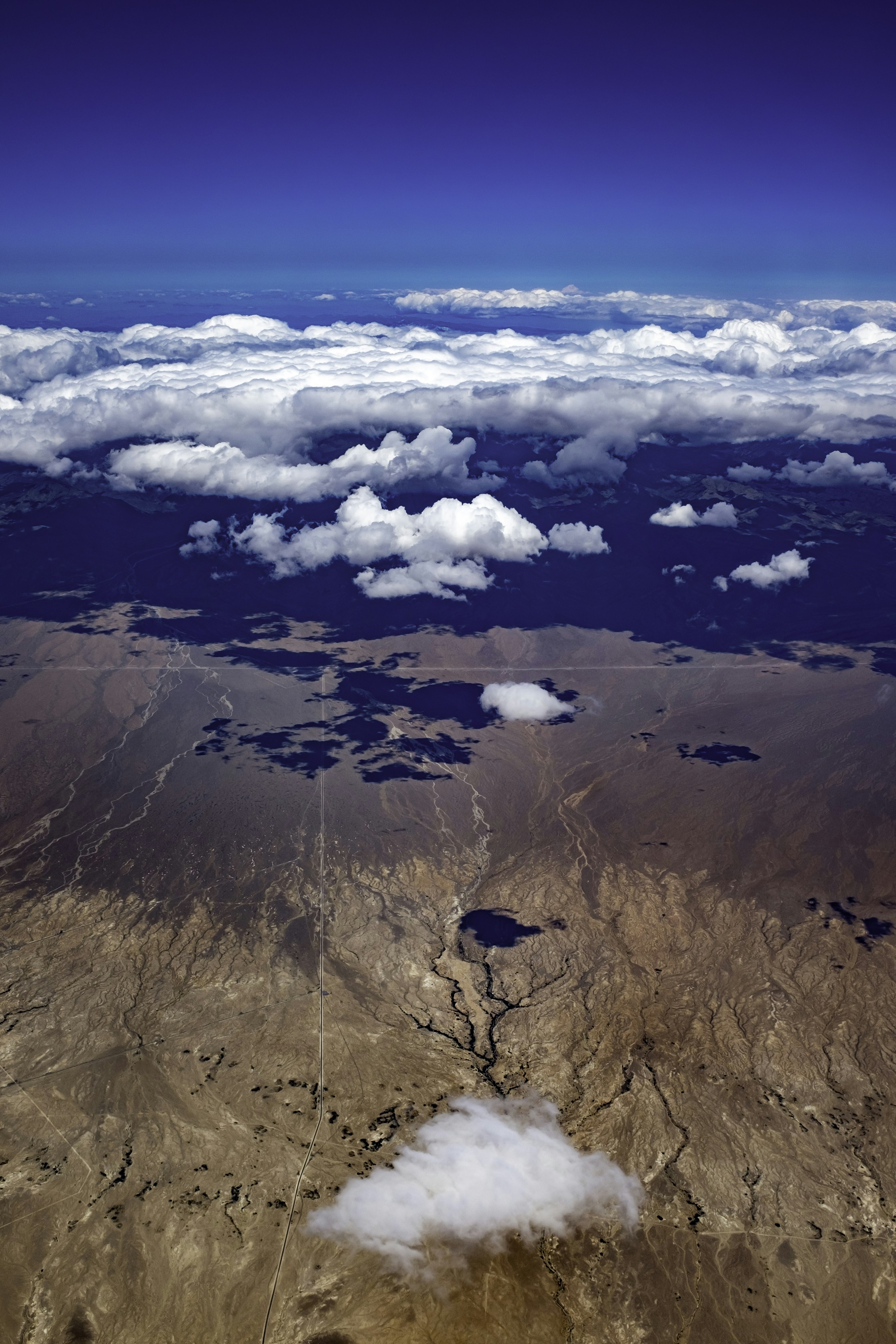 Photo by evanffitzer