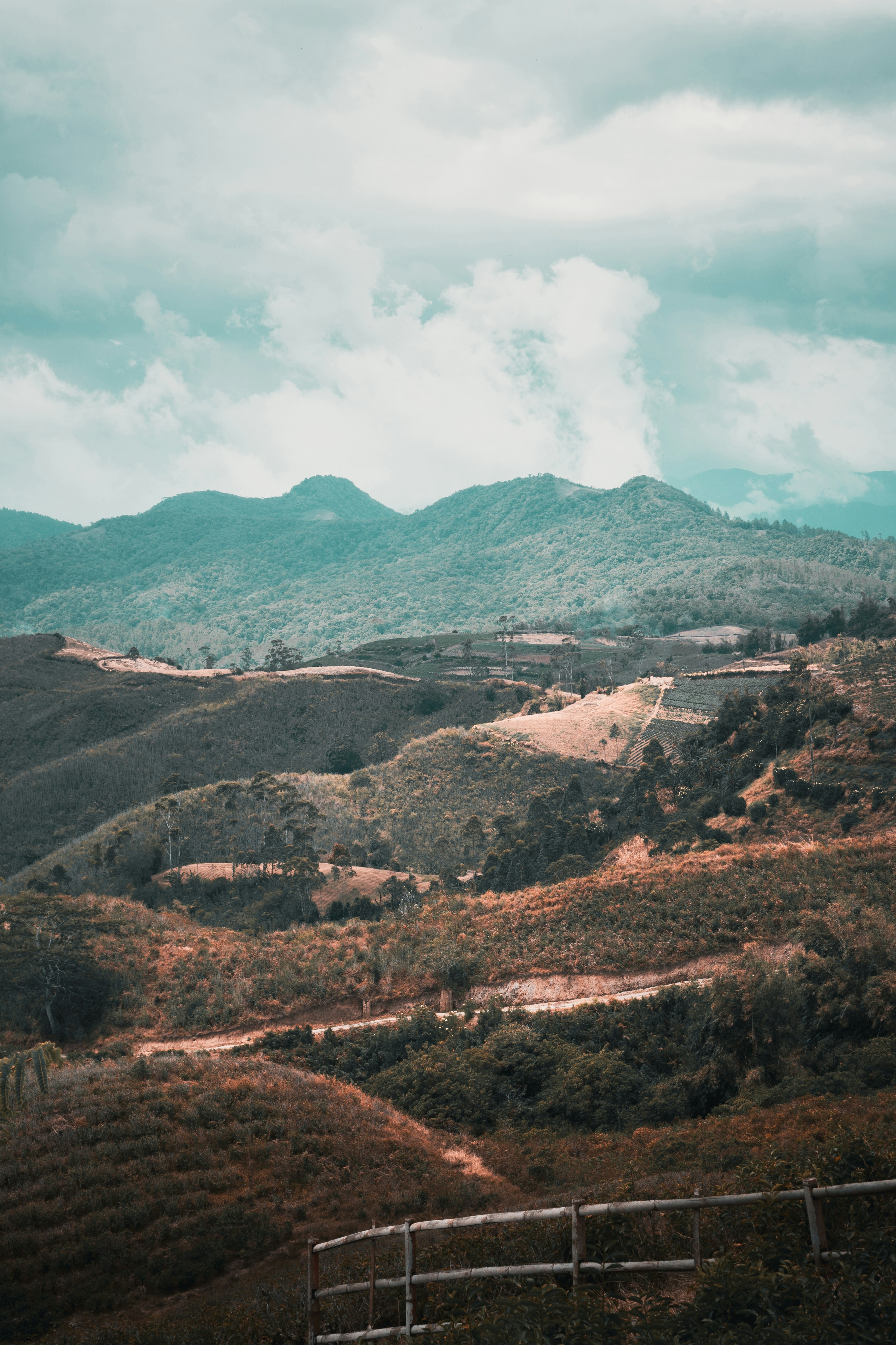 Photo by mchaelhuang