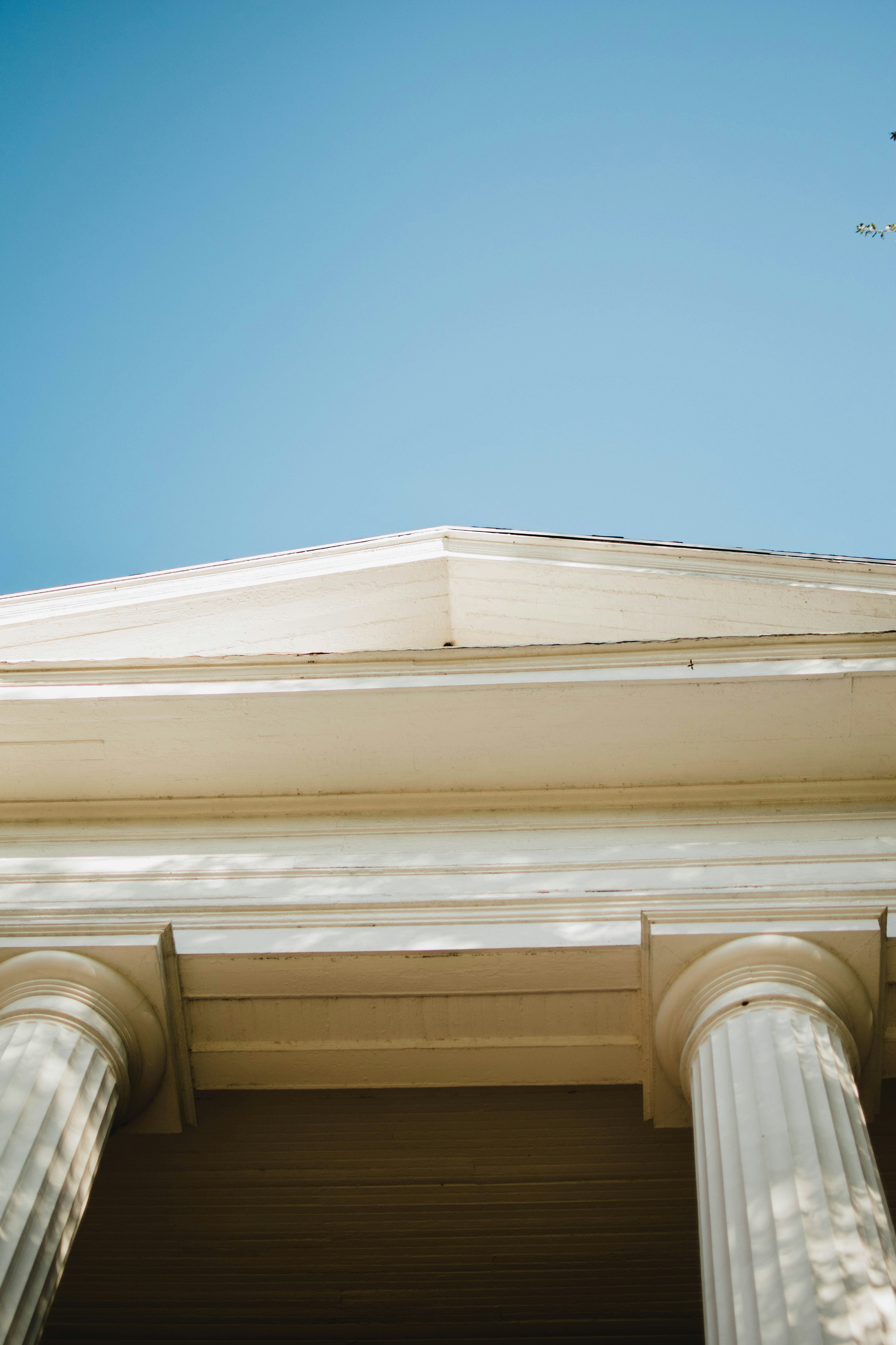 Photo by longlivehaas