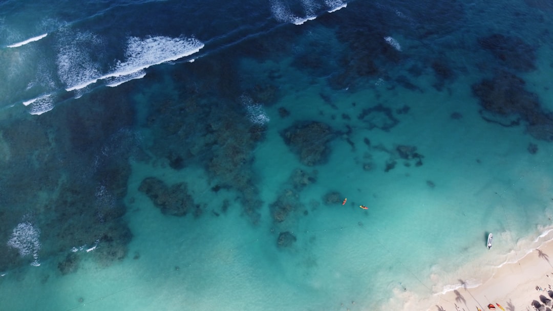 aerial view of body of water during daytime