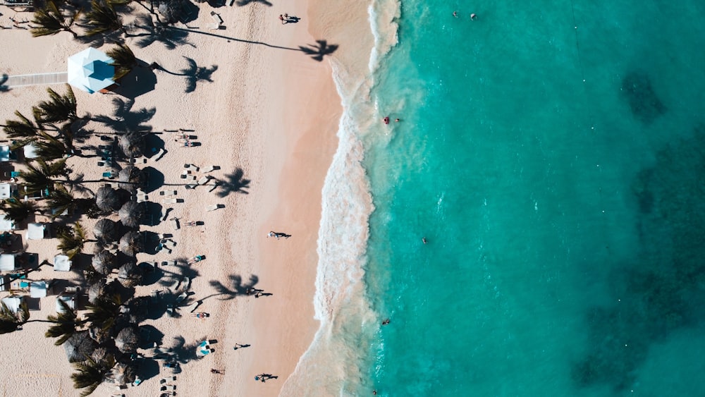 aerial view of people on beach during daytime