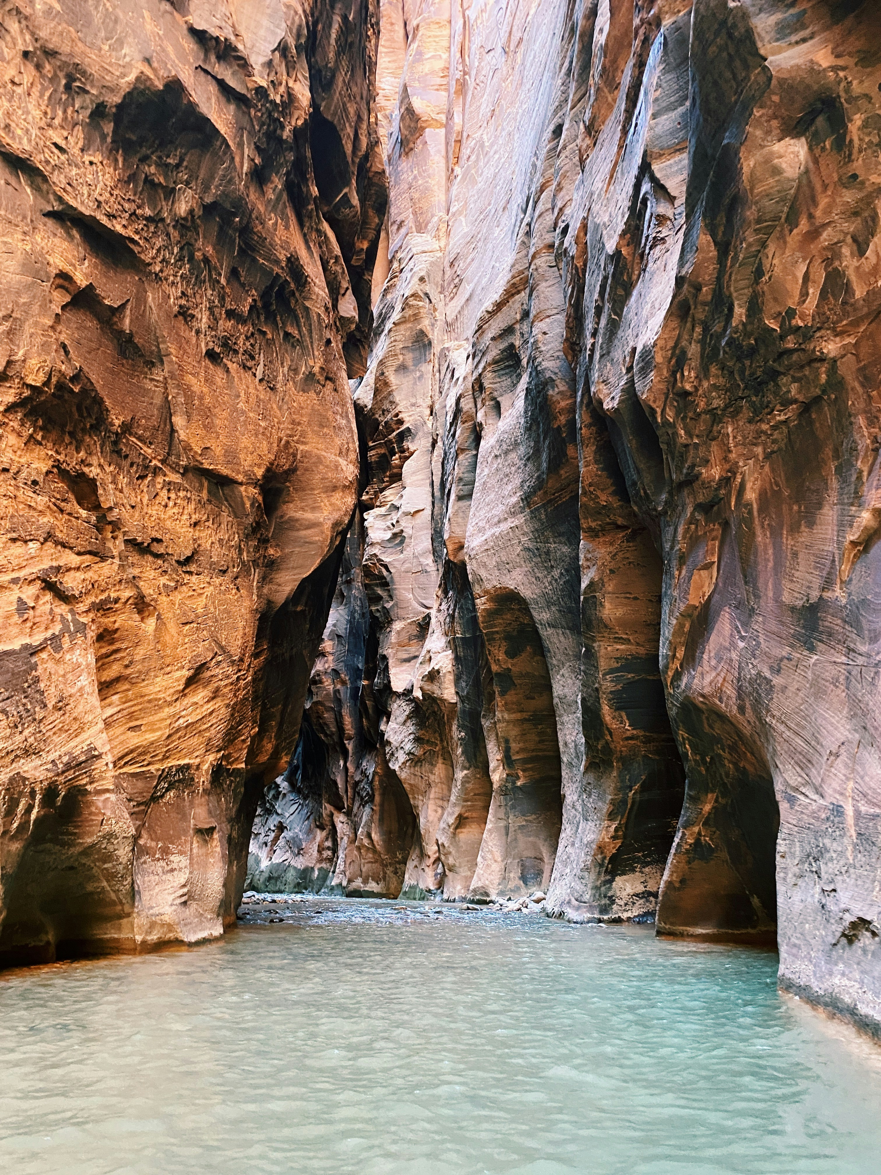 Wall Street at The Narrows - Zion National Park 

IG📷: natalmighty