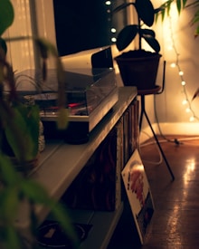 A cozy indoor setting featuring a turntable on a wooden shelf surrounded by a collection of vinyl records. A potted plant is placed beside the shelf, and soft, warm lighting creates a relaxing ambiance. A string of lights adds to the ambient atmosphere, reflecting off the nearby surfaces.