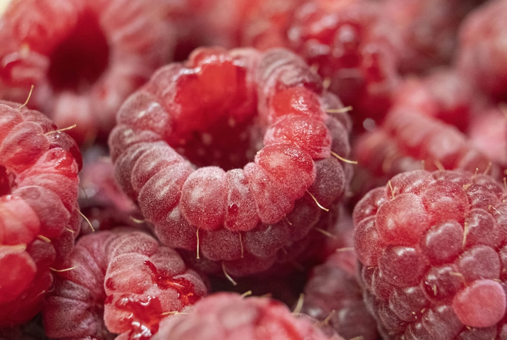 Frutos rojos en lente macro