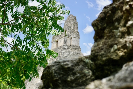 gray concrete building near green leaf tree during daytime in Tikal Guatemala