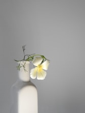 Minimalist beauty shot of a glass bottle with subtle yellow accents, set against a light brown background with delicate shadows.