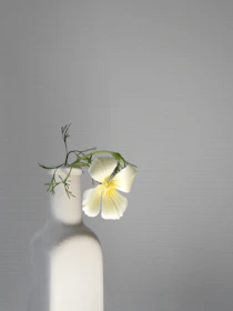A hand sanitizer bottle with a minimalist label, placed beside delicate white flowers on a bright white background.