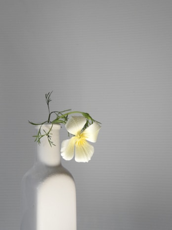 Minimalist beauty shot of a glass bottle with subtle yellow accents, set against a light brown background with delicate shadows.