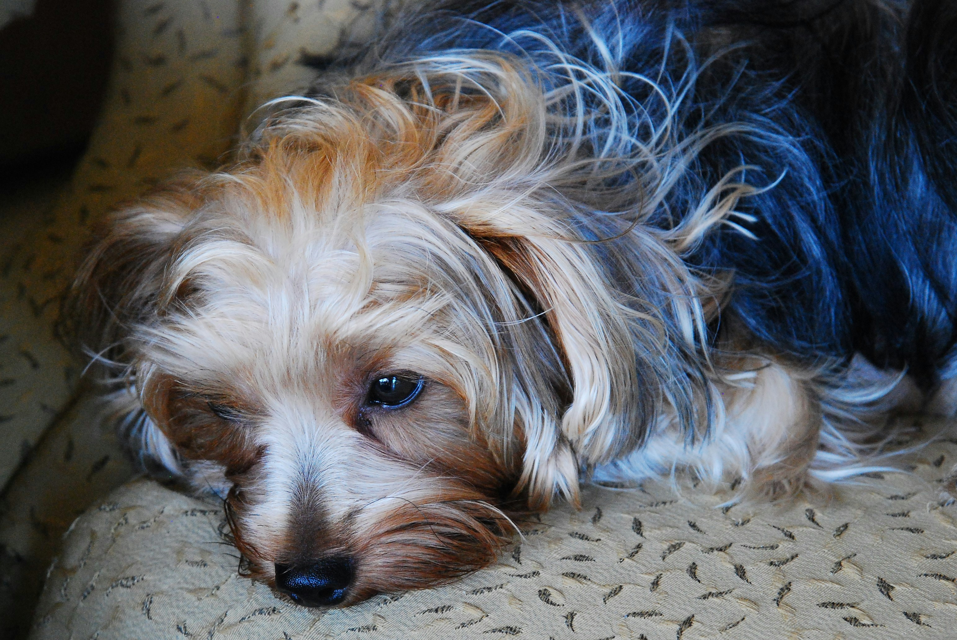 Photo by briankairuz