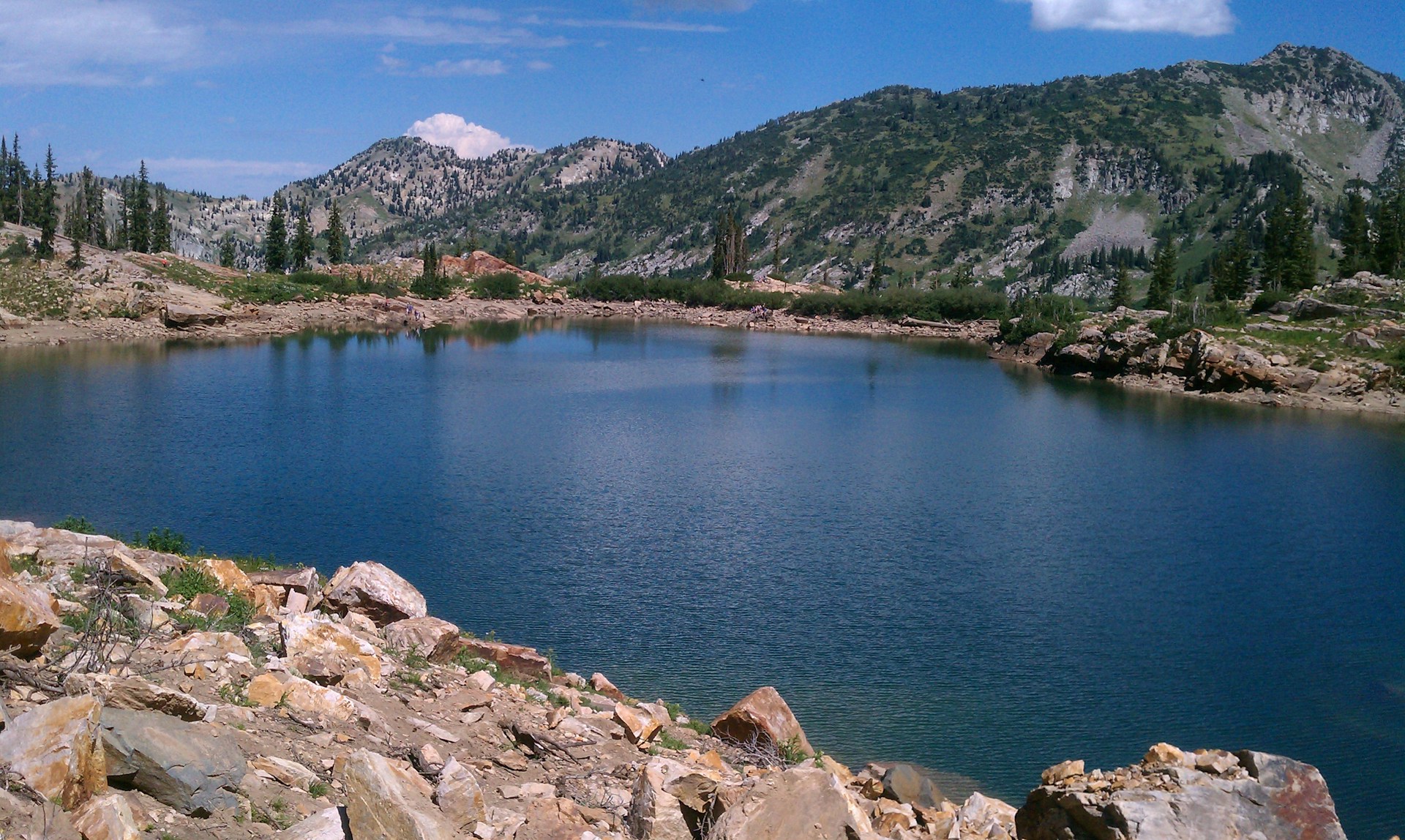 A serene mountain lake surrounded by pine trees under a clear blue sky.