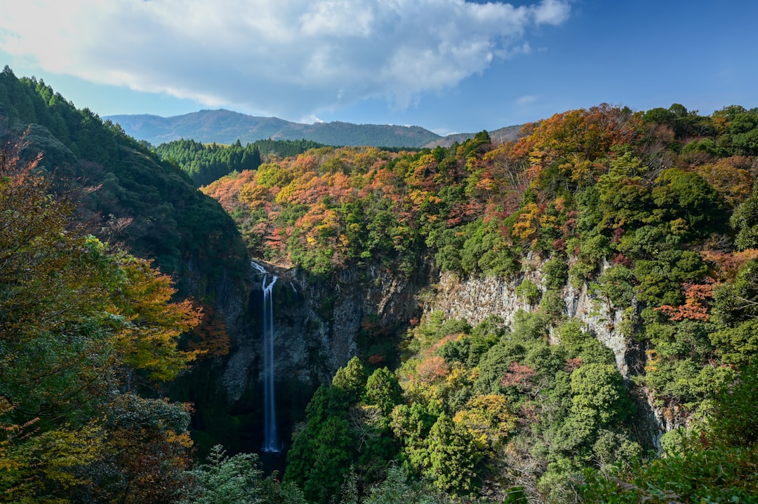 green trees on mountain under blue sky during daytime