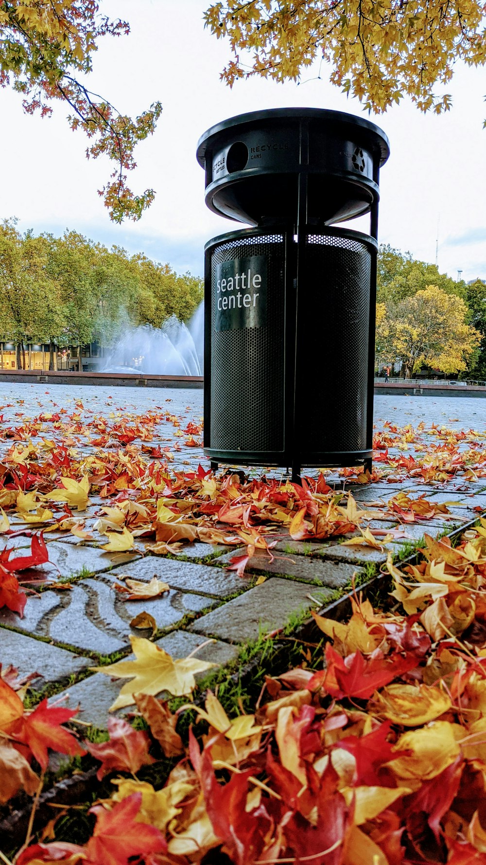 black steel trash bin on brown leaves near body of water during daytime