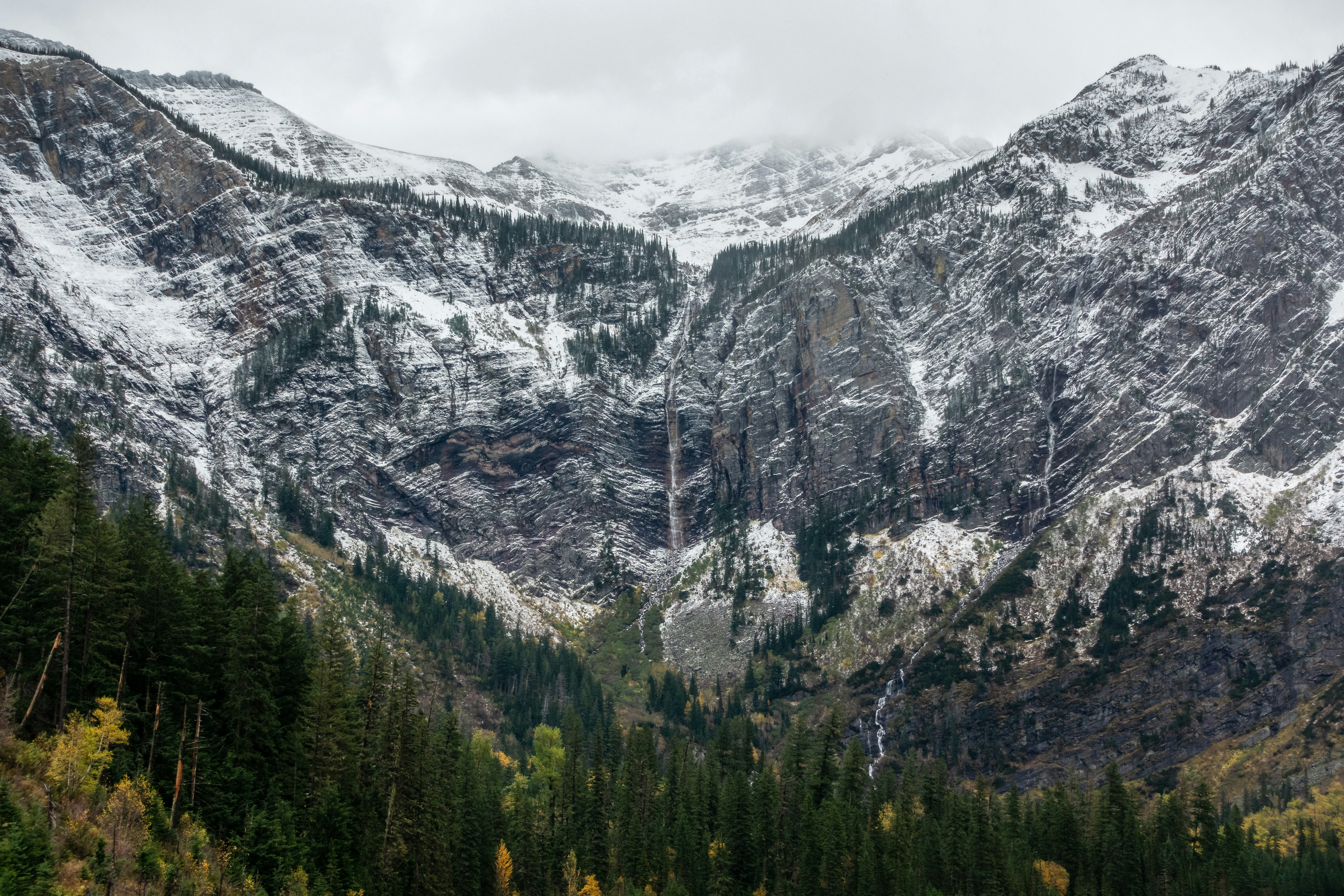green trees near mountain during daytime