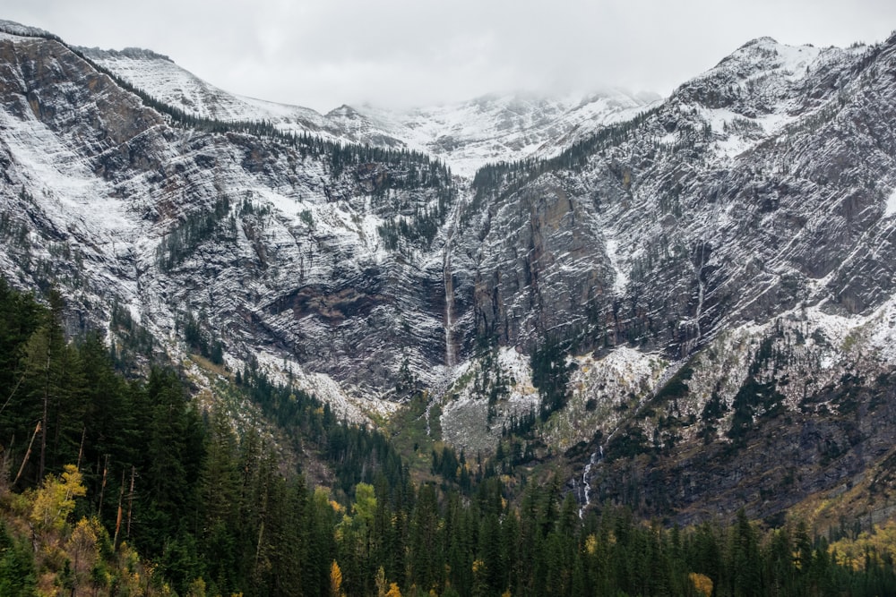 green trees near mountain during daytime