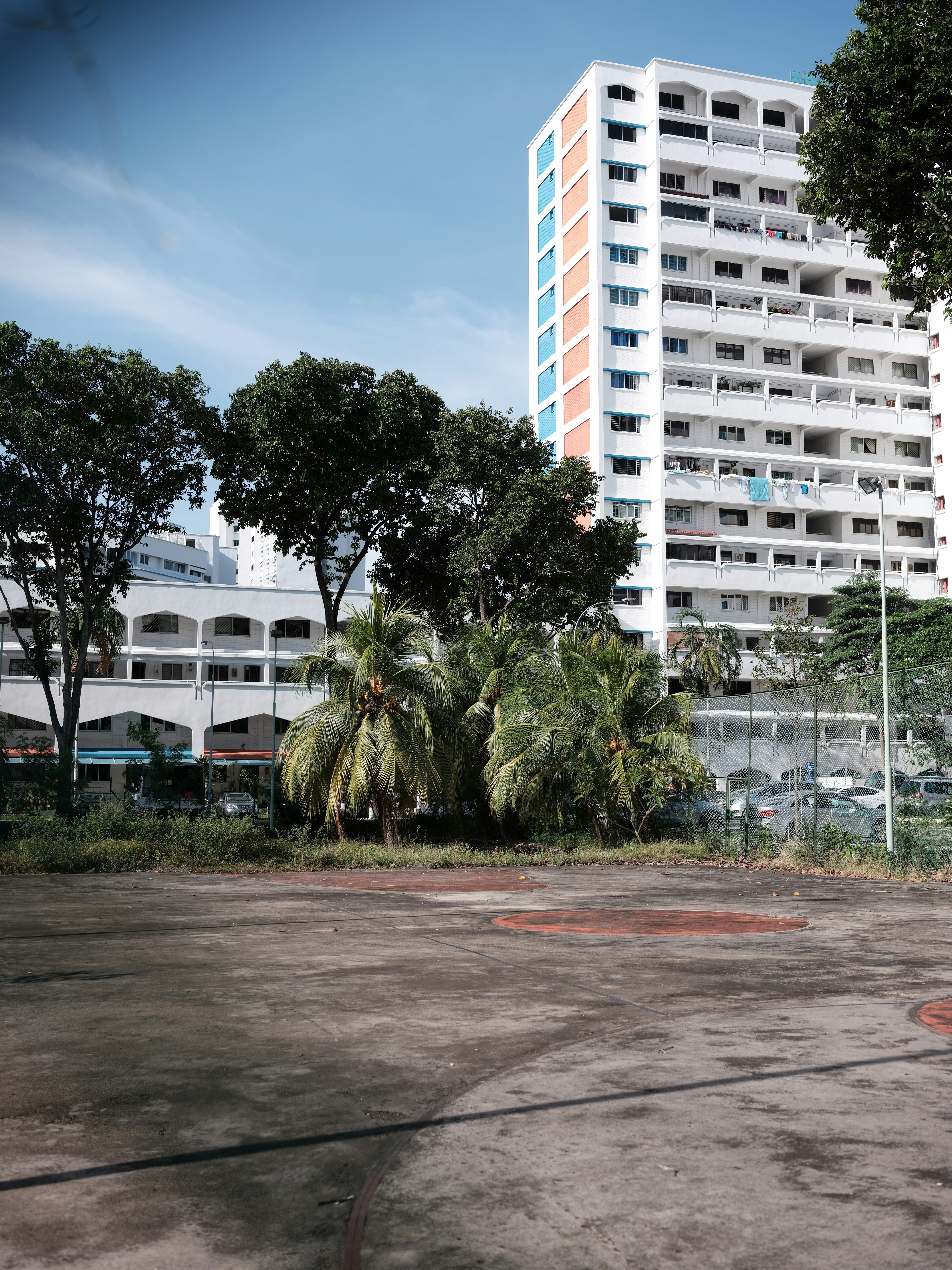 green palm trees near white concrete building during daytime