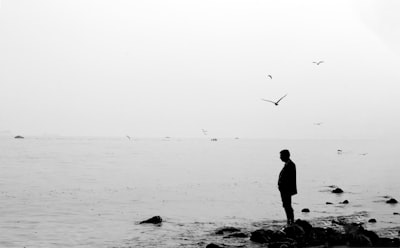 silhouette of man standing on rock near body of water during daytime contemplative teams background