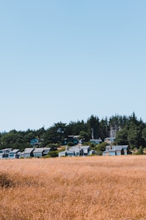 A beautiful landscape showcasing available properties for sale.