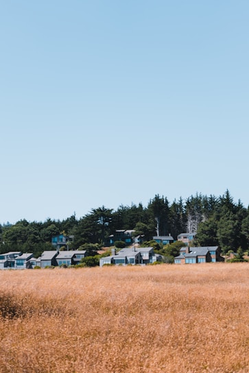 A beautiful landscape showcasing available properties for sale.