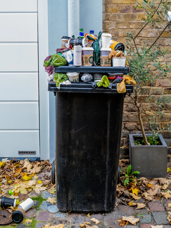 The Real Cost of Single-Use Plastic