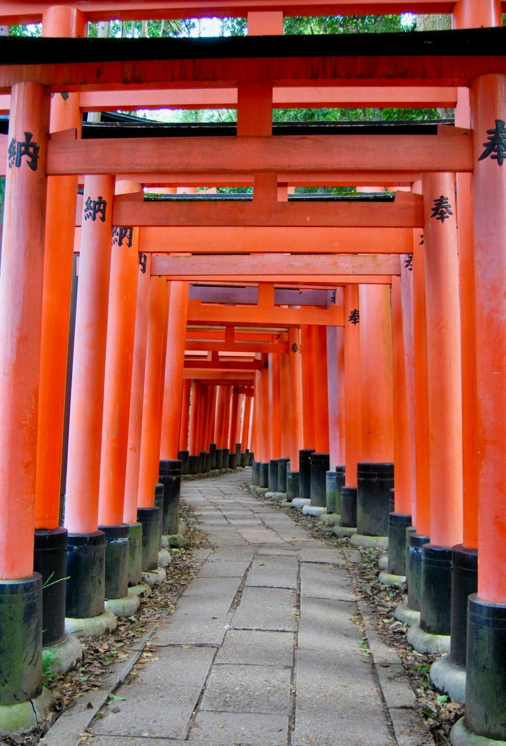 orange and black concrete building