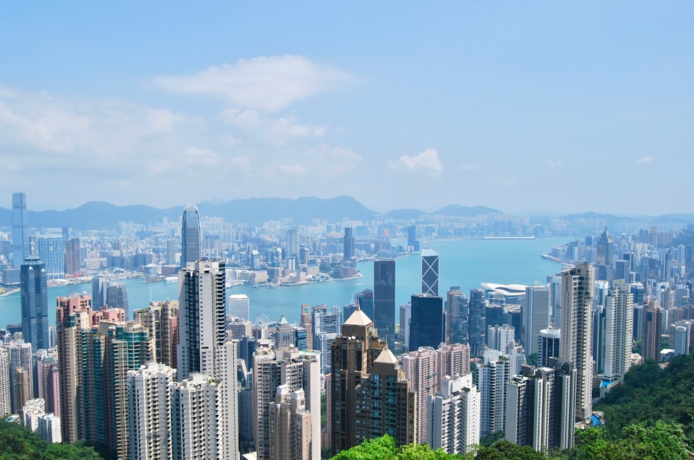 city skyline under blue sky during daytime