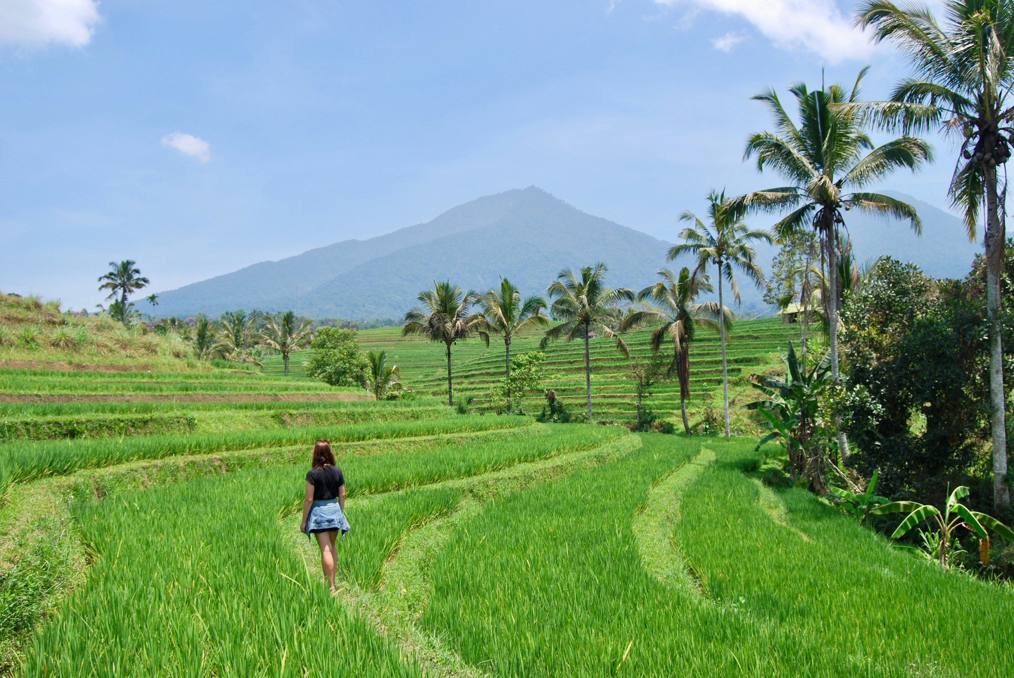 Réservez votre aventure