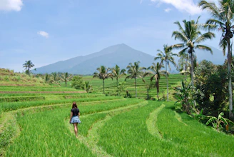 A smiling local guide leading a small group through lush Balinese rice terraces at sunrise.