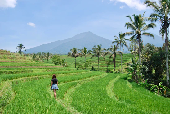 A smiling local guide leading a small group through lush Balinese rice terraces at sunrise.