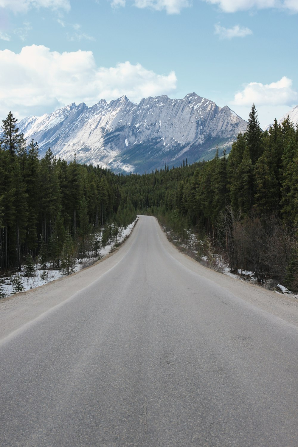 낮에는 푸른 나무와 눈 덮인 산 사이의 회색 콘크리트 도로