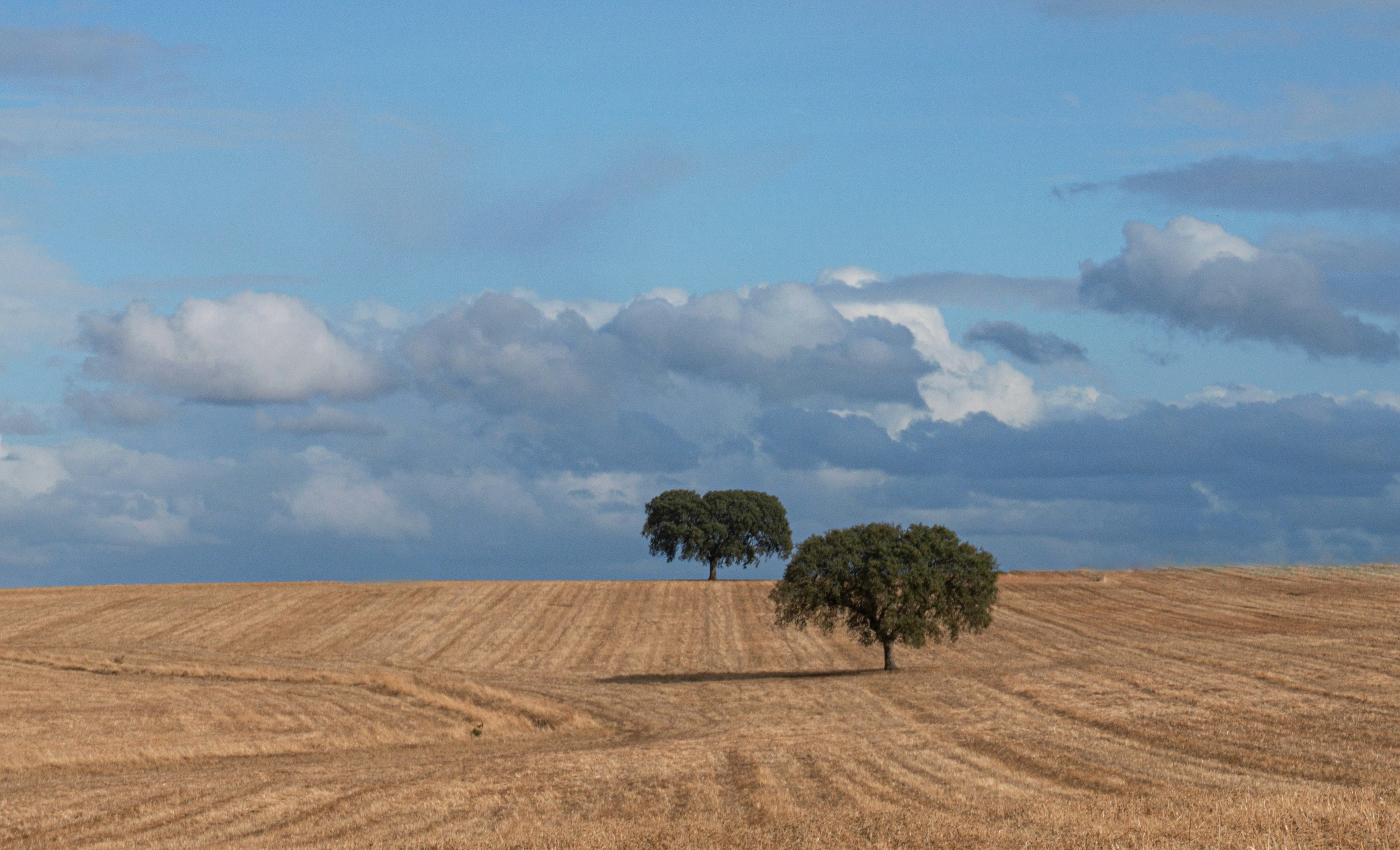 Photo by leonardo_64