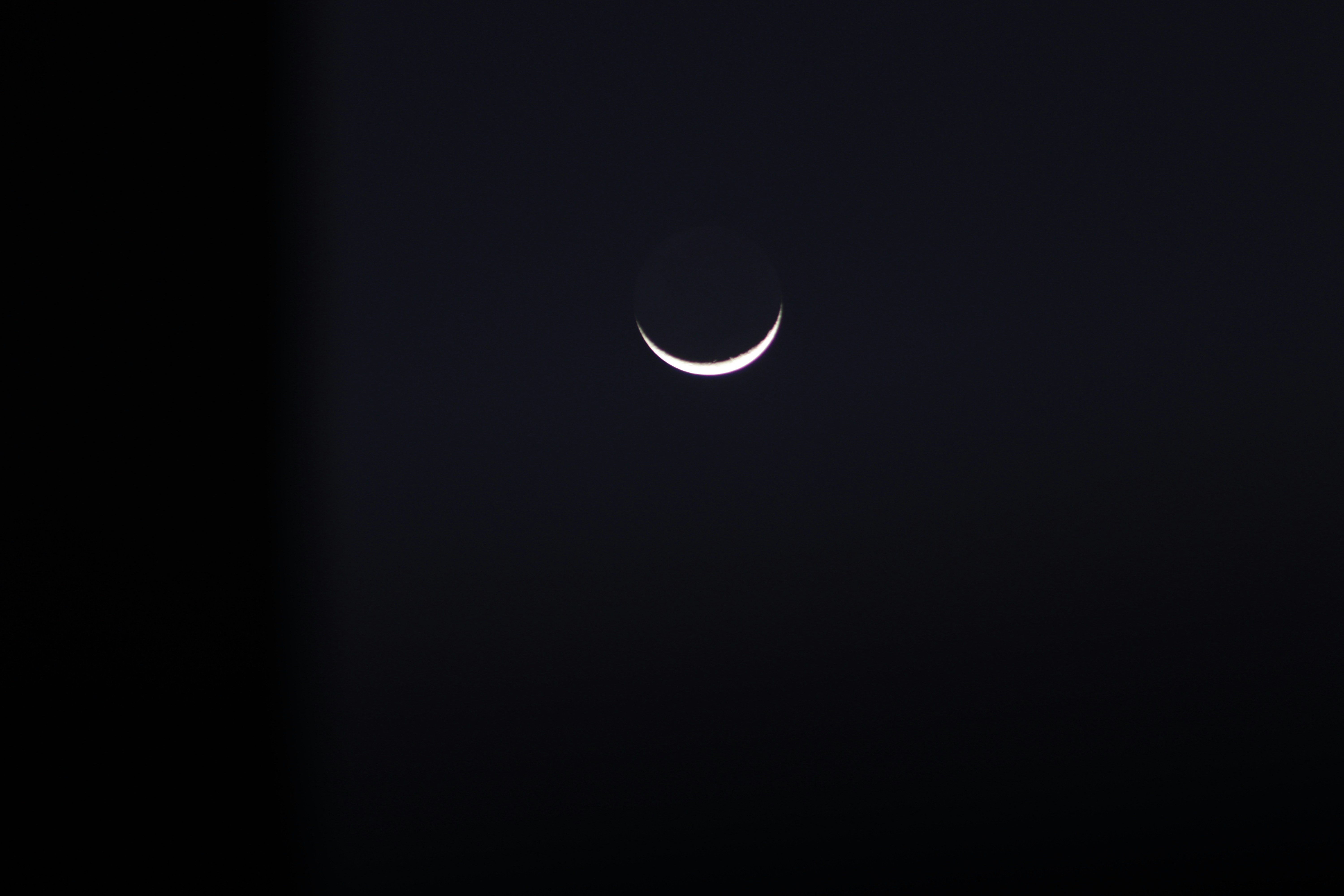 black and white round illustration