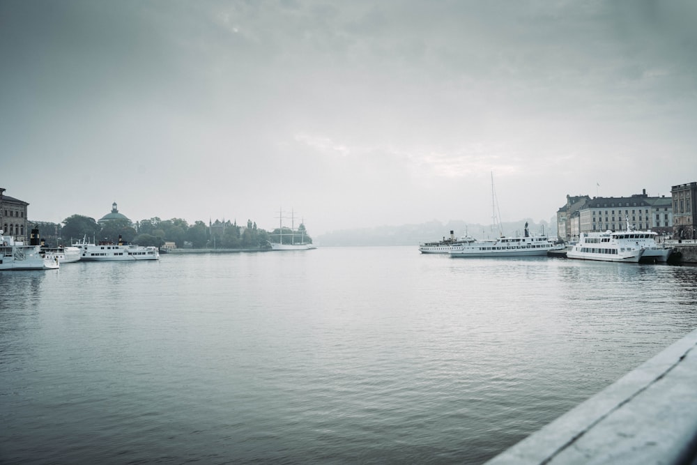 white ship on sea under cloudy sky during daytime