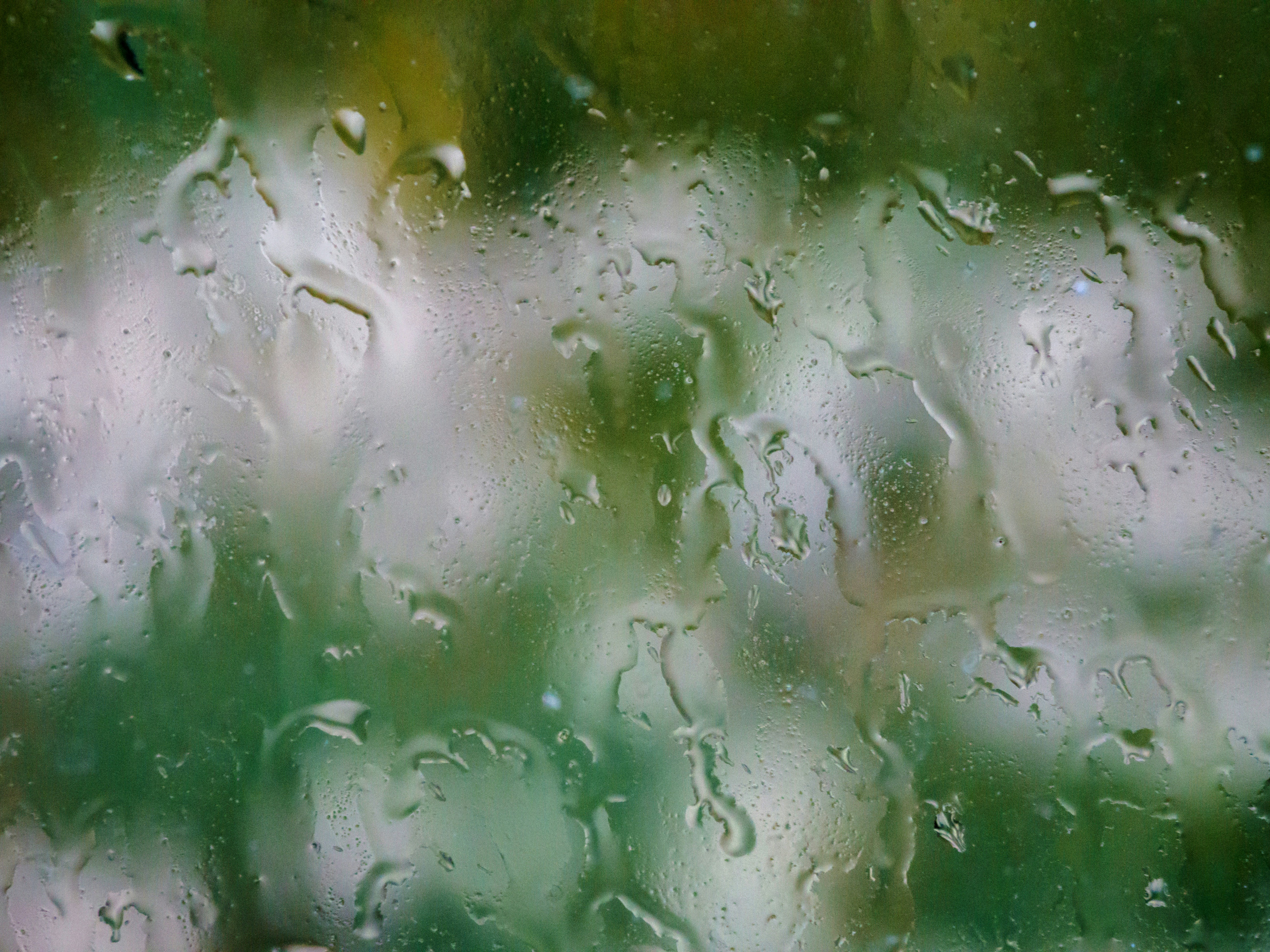 Photo by brett_jordan