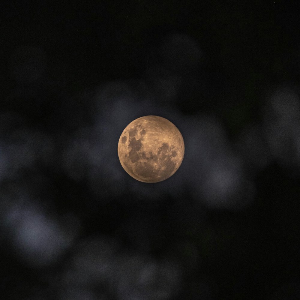 full moon in the night sky