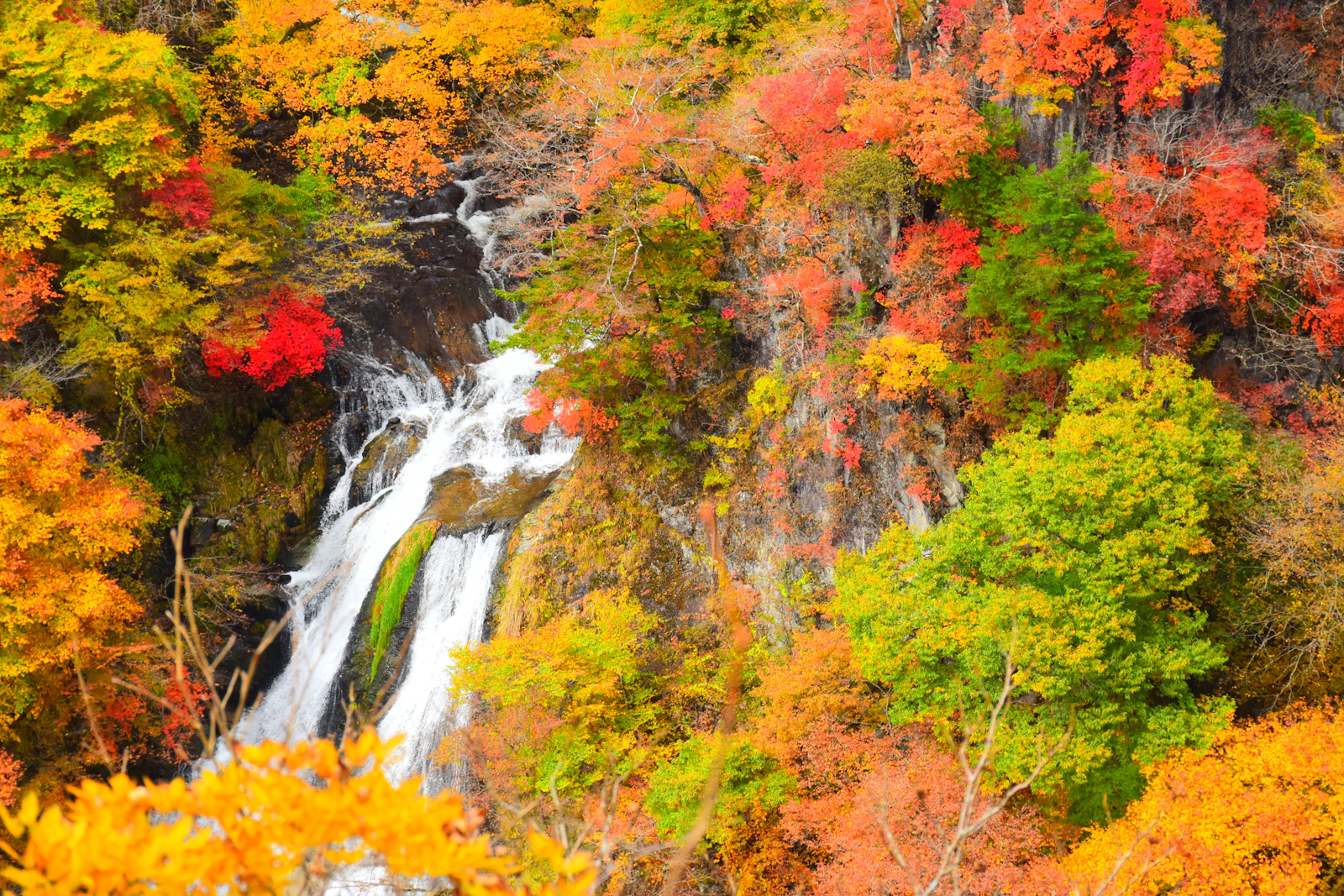 A waterfall surrounded by autumn foliage near Nikko
