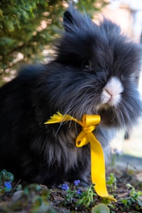 A fluffy, dark gray rabbit with a distinctive white snout is adorned with a bright yellow ribbon tied around its neck. The rabbit is situated among small clusters of green plants and tiny purple flowers, suggestive of a garden setting. The background features blurred foliage, adding a natural feel to the scene.
