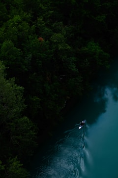 A kayaker navigating gentle ripples with a forested shoreline in the background.